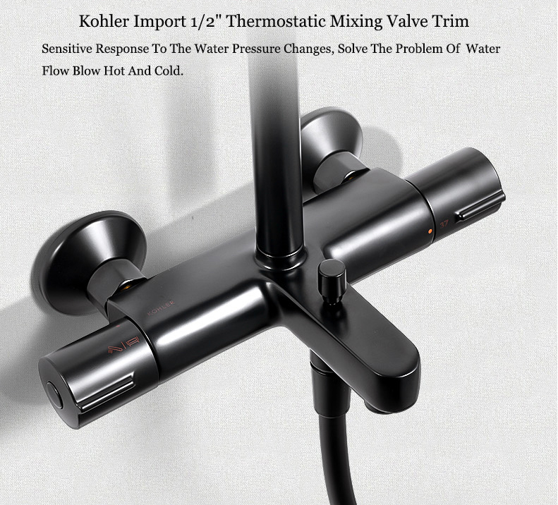 Kohler Shower Faucets 23125T Kohler July Black Dual Shower Head 1/2